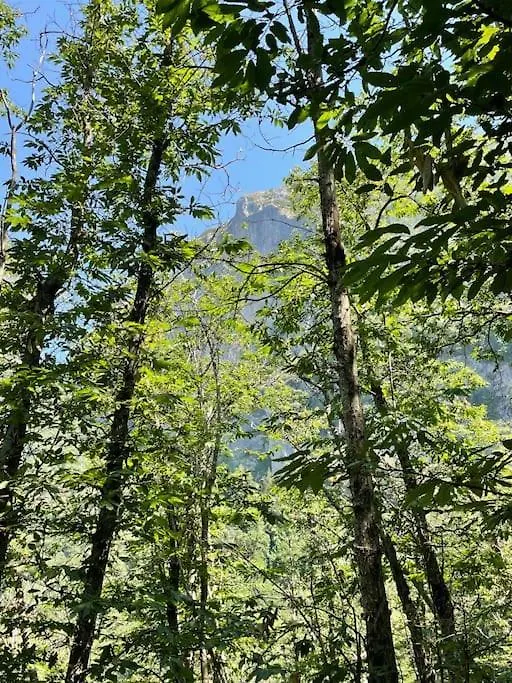 Villa Enrica: Soggiorno Nel Cuore Della Toscana Lido di Camaiore