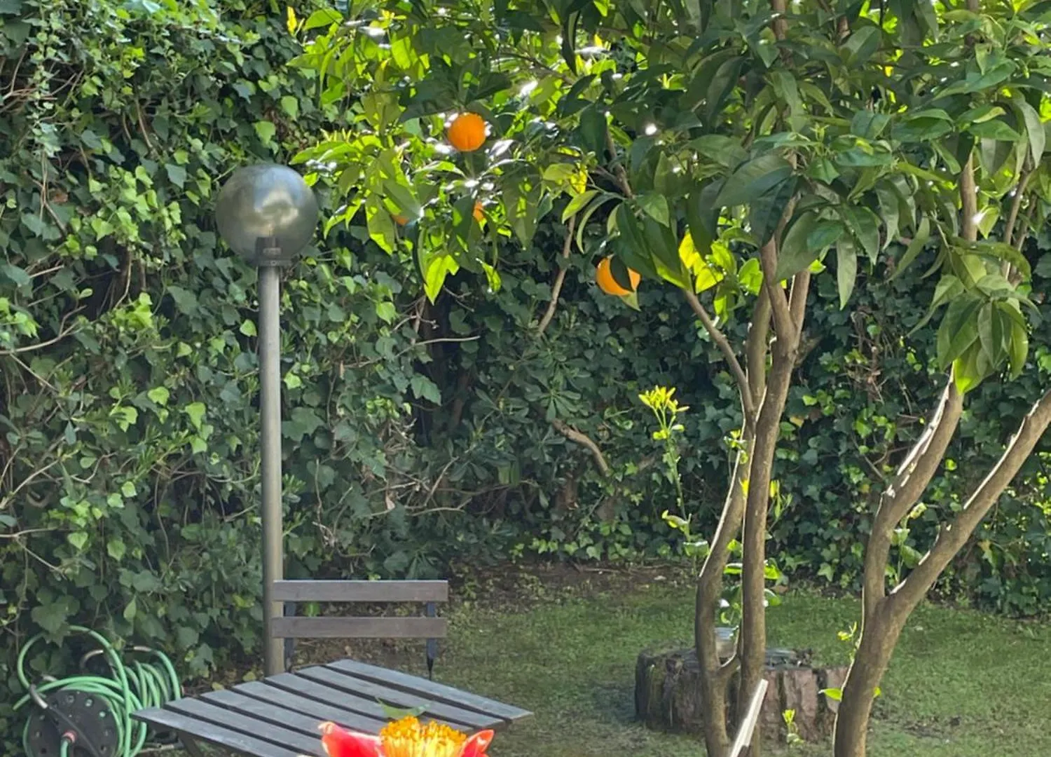 Villa Enrica: Soggiorno Nel Cuore Della Toscana Lido di Camaiore 0*,
